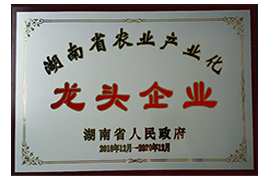 湖南省农业龙头企业