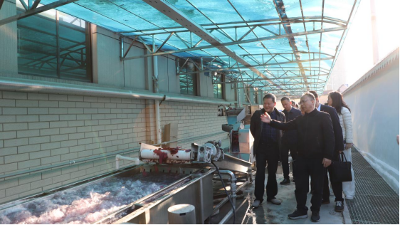 双清区委书记曾秦伟带队走访天香生物参观调研，助力乡村振兴