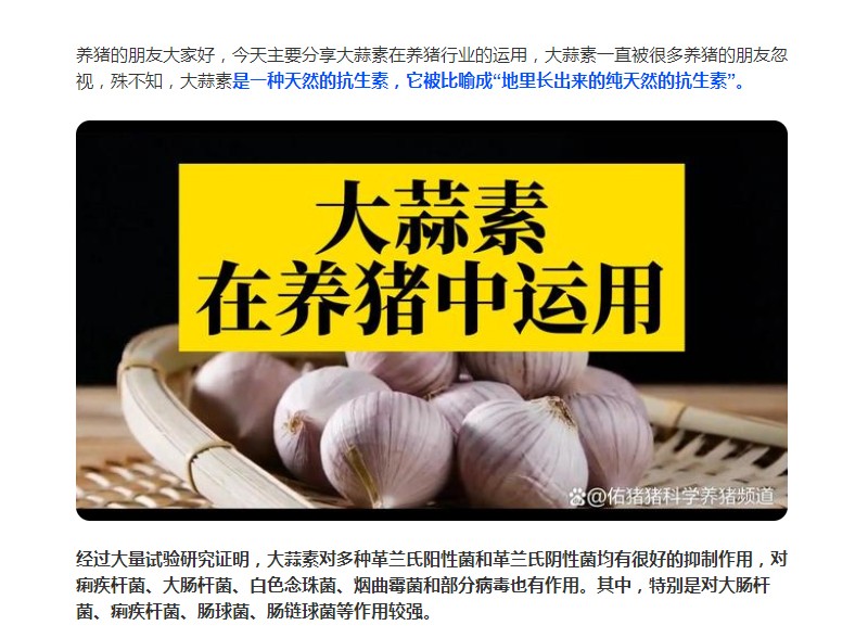 大蒜素在养猪行业的运用，您了解多少？