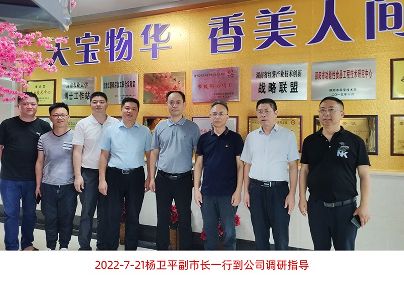 杨卫平副市长一行到公司调研指导