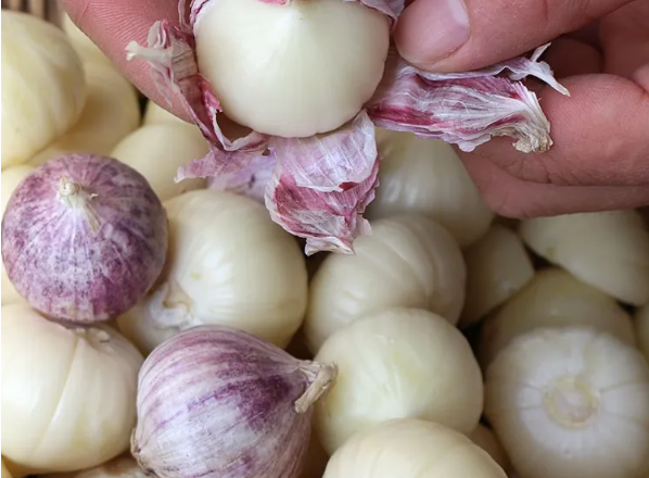 邵阳诸多农特产的发源地 关于家乡的雪峰山你了解多少？