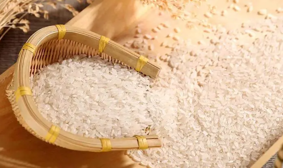 邵阳诸多农特产的发源地 关于家乡的雪峰山你了解多少？