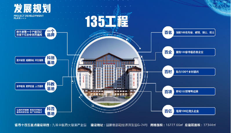 种下梧桐树，引得凤凰来