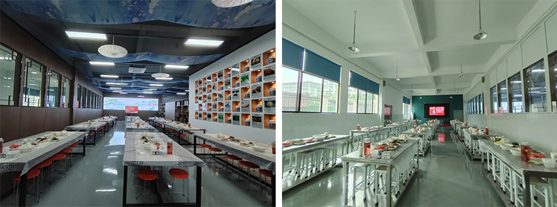 “校企牵手、双向奔赴”邵阳200余名大学生走进天香生物